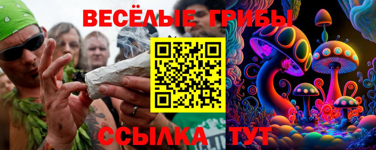 Галлюциногенные грибы Cubensis Лениногорск