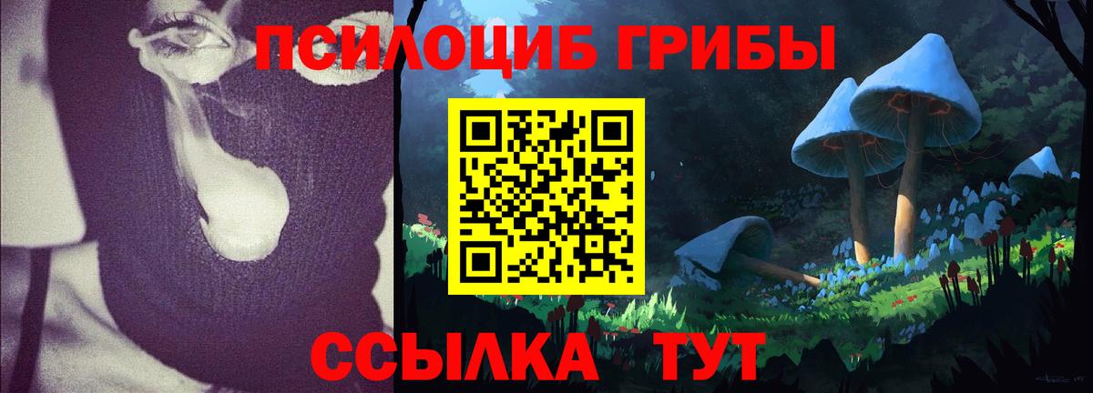 Лениногорск  Галлюциногенные грибы Psilocybine cubensis  Вход с VPN  Псилоцибиновые грибы Magic Shrooms 